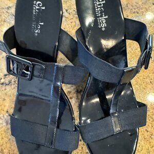 Charles David Platform Wedges